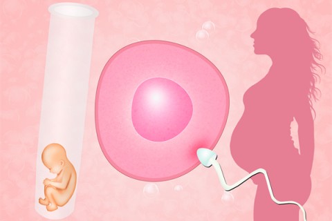 没有办理生育证明能不能深圳代生孩子？